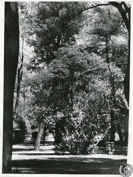 [Jardín de la Quinta Selgas, Cudillero. Revista Nacional de Arquitectura. Imagen 1]
