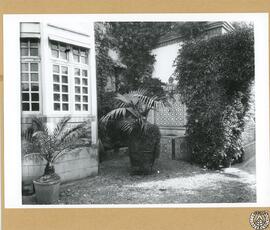 Casa de don Pelayo Quintero en Cádiz. Detalle del jardín con fuente cerámica en la pared