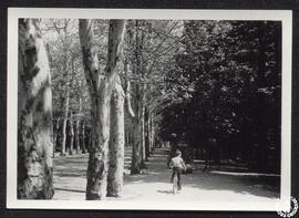 [La Casa de Campo de Madrid. Imagen 13. Niño en bicicleta]
