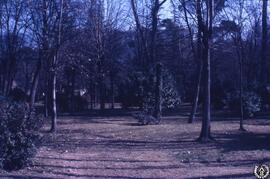 Jardines. Jardines de Sabatini [Imagen 8]