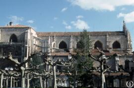 Catedrales de España 3. Palencia