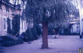 [Balnearios] Termas de Luso. Buçaco