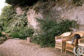 [Recorrido por el Romeral de San Marcos. Imagen 103] Terraza de la Cueva. Ceanothus arboreus y Ro...