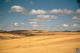 Castilla [4] Atienza paisajes