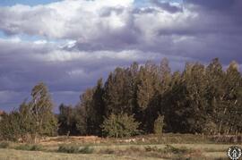 Castilla [3] Los pueblos negros. Atienza, paisajes