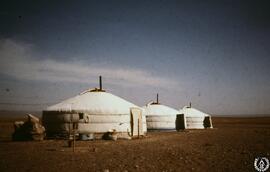 Casas móviles. Campamentos de yurtas en el desierto del Gobi (Mongolia)
