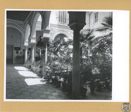 Casa señorial en Jerez de la Frontera. Patio