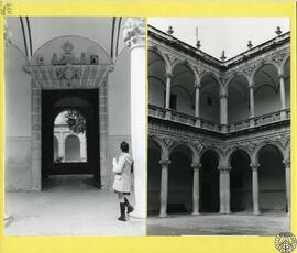 Colegio de Santo Domingo de Orihuela [Claustro de la Universidad]