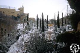 [Recorrido por el Romeral de San Marcos. Imagen 117] Alcázar y cipreses