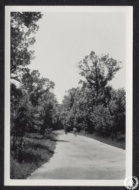 [La Casa de Campo de Madrid. Imagen 9. Ciclistas]
