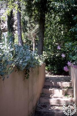 [Recorrido por el Romeral de San Marcos. Imagen 226] Escalera del patio del pino
