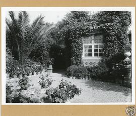 Casa de don Pelayo Quintero en Cádiz. Detalle del jardín