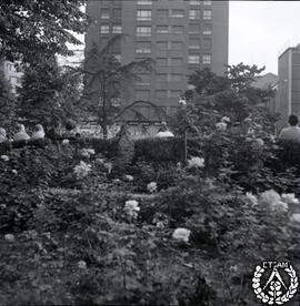 [Nuevos jardines-terrraza sobre el aparcamiento de la plza. de Adolfo García de Careaga. Colección 2. Imagen 8]