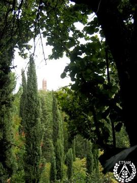 [Recorrido por el Romeral de San Marcos. Imagen 183] La vertical de los cipreses y el campanario ...