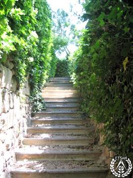 [Recorrido por el Romeral de San Marcos. Imagen 11] Escalera de acceso