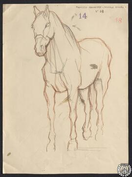 [Apuntes de caballos 1]
