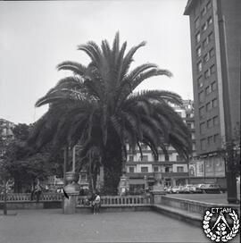 [Nuevos jardines-terrraza sobre el aparcamiento de la plza. de Adolfo García de Careaga. Colección 2. Imagen 2]