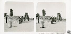 Roma. Palatino. Palazzo d'Augusto, triclinio