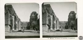 Roma. Le terme di Caracalla, il trepidario
