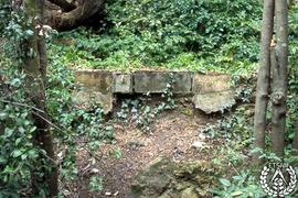 [Recorrido por el Romeral de San Marcos. Imagen 185] Restos de la primitiva escalera al bosque de...