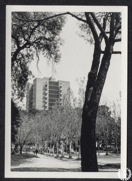 [La Casa de Campo de Madrid. Imagen 4]