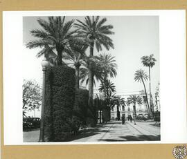 Jerez de la Frontera [Plaza del Arenal]