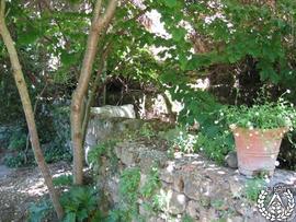 [Recorrido por el Romeral de San Marcos. Imagen 198] El pilón del manantial. Parrotia persica. Re...