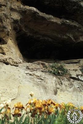 [Recorrido por el Romeral de San Marcos. Imagen 106] Terraza de la cueva. Iris germanica