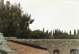 [Alcazar de los Orellana, Trujillo]