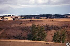 Castilla [4] Atienza paisajes