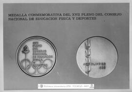 [1968. XVII Pleno del Consejo Nacional de E.F.D. Clausura. Entrega medalla del Pleno. Imagen 173]