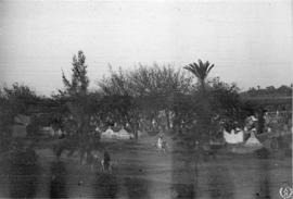 El Palmeral de Menfis, Egipto