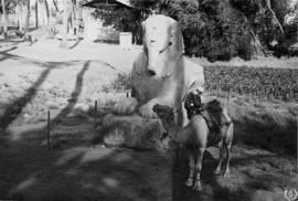 El Palmeral de Menfis, Egipto. Esfinge