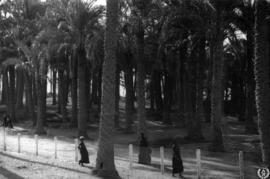El Palmeral de Menfis 2, Egipto