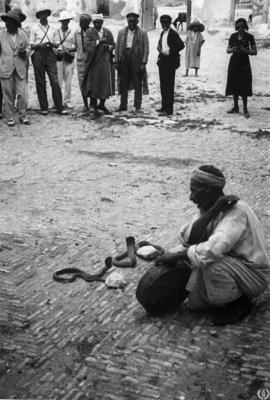 Kairuán, Túnez 2. Grupo de cruceristas observando a un músico encantador de serpientes