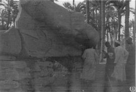 El Palmeral de Menfis, Egipto