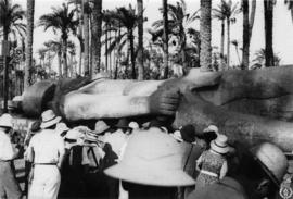 El Palmeral de Menfis, Egipto. Estatua yacente de Ramses II