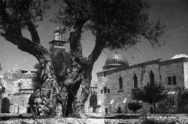 Jerusalén 3. Mezquita de la Roca o de Omar y su minarete