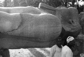 El Palmeral de Menfis, Egipto. Estatua yacente de Ramses II